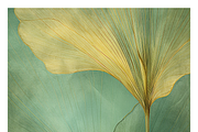 Bief Co · Botanical Leaf Backgrounds, a Texture Illustration by milatovar (Thumbnail 8 of 21)