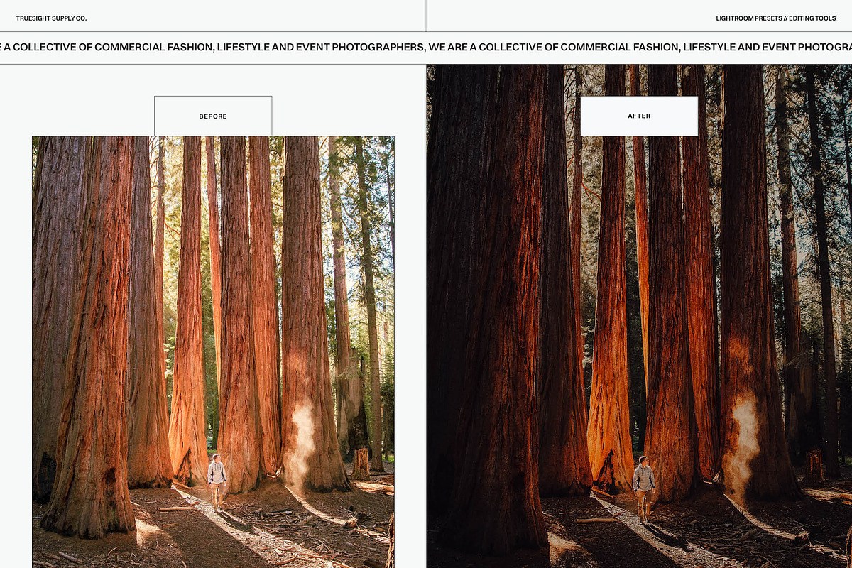 Redwood Sunset - Lightroom Presets, a Preset Add-On by Truesight Supply Co. (Photo 4 of 10)
