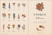 8064 in 1 - GRAPHICS GRAND BUNDLE, an Object Illustration by Julia Dreams (Thumbnail 17 of 50)
