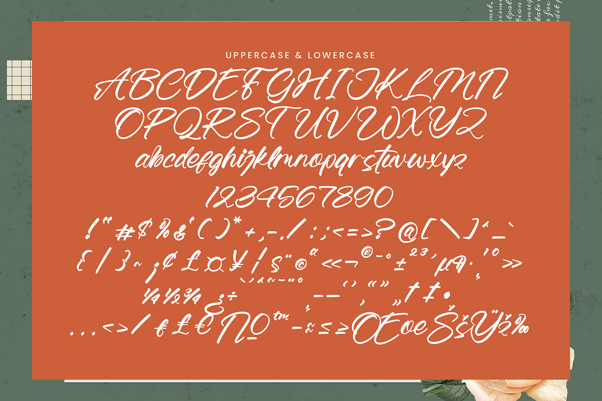 Honestlife Modern Handbrush, a Handwritten Font by operatype.co (Photo 9 of 10)