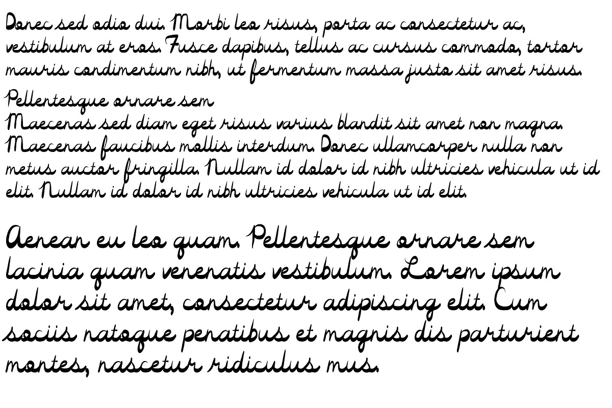 Font Orleana Cursive Script Writing, a Script Font by PageLightStudios (Photo 3 of 4)