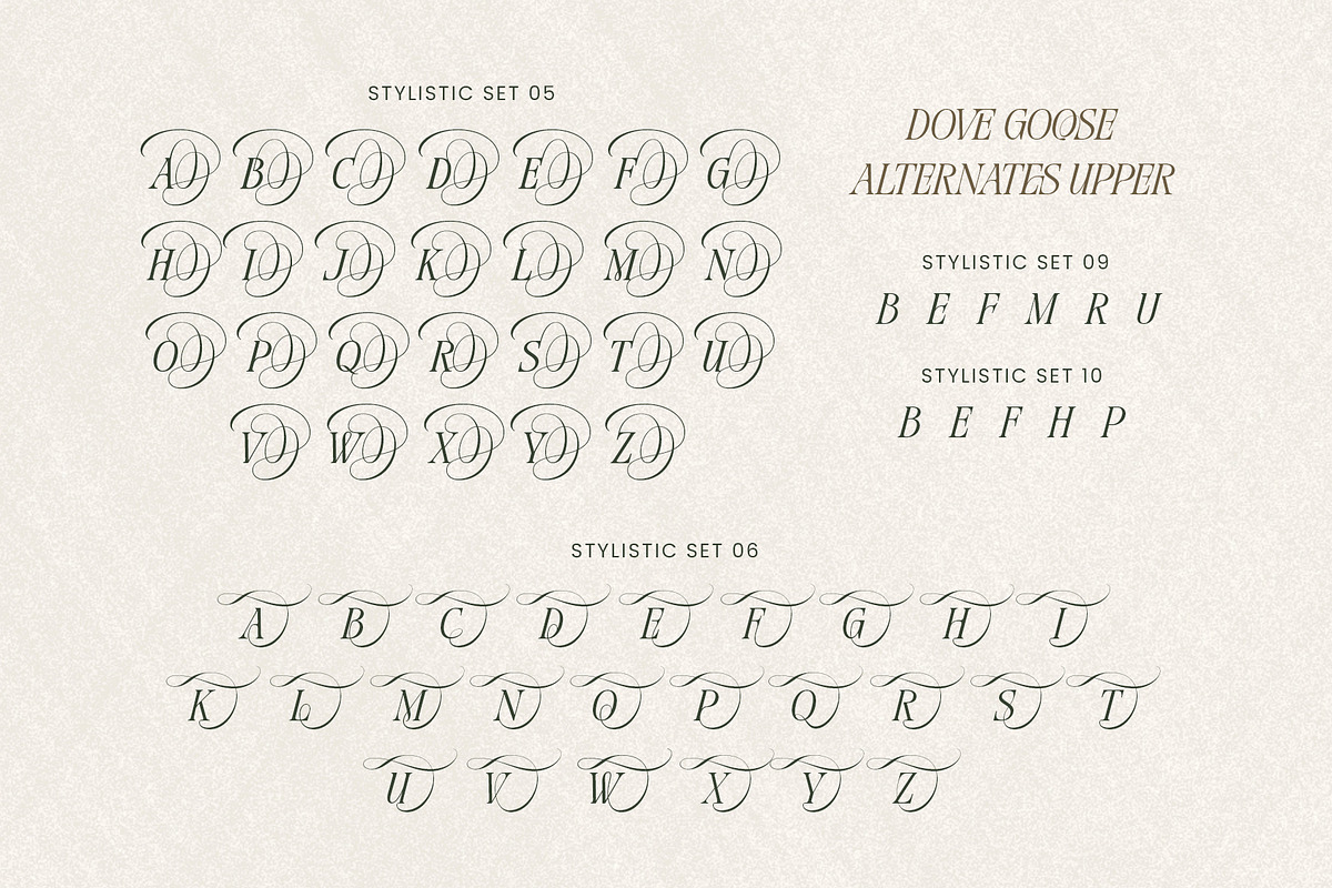 Dove and Goose Typeface, a Serif Font by alit design (Photo 11 of 20)