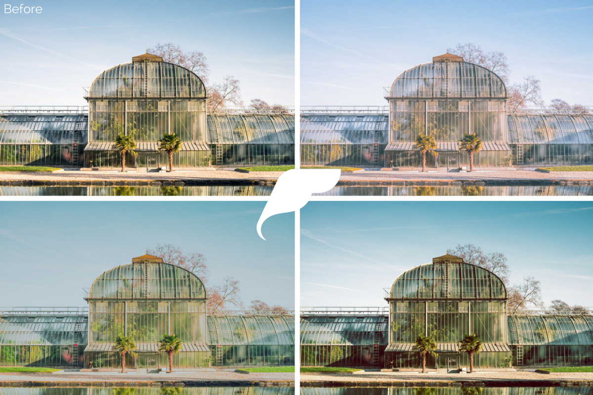 25 Film Tone Lightroom Presets I preview 6