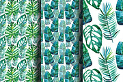 Watercolor tropical leaves, an Illustration by Olesya Morokhovets (Thumbnail 7 of 8)