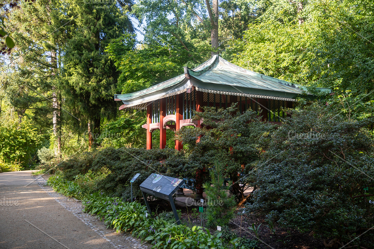 Berlin, Germany, 10 September 2026, Botanical garden, Asian styl, a Nature Photo by Imaginarium (Photo 1 of 2)