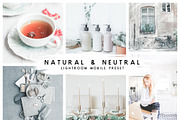 Natural Lightroom Mobile Preset, an Action Add-On by Lux Light (Thumbnail 24 of 28)