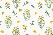 St.John's wort set, seamless pattern, a Decorative Illustration by Good Studio (Thumbnail 3 of 6)