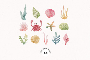 Sea Shell Font & Illustrations