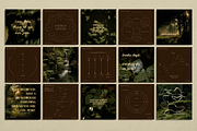 The Naturalist Social Media Bundle, a Social Media Template by The Flossy Finch (Thumbnail 9 of 22)