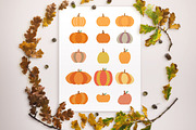 15 Pumpkins Clipart, Fall Clipart, an Illustration by The Digital Download Shop (Thumbnail 2 of 3)
