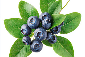 Fresh Blueberries on Green Leaves Na, a Food & Drink Photo by Pixeness Studio
