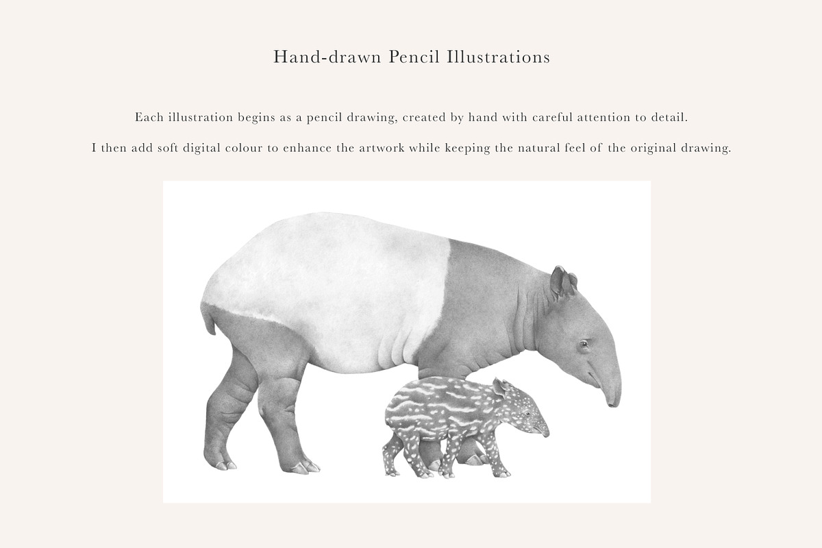 Mother & Baby Tapir Illustration, an Animal Illustration by LaurenFittonIllustration (Photo 5 of 6)