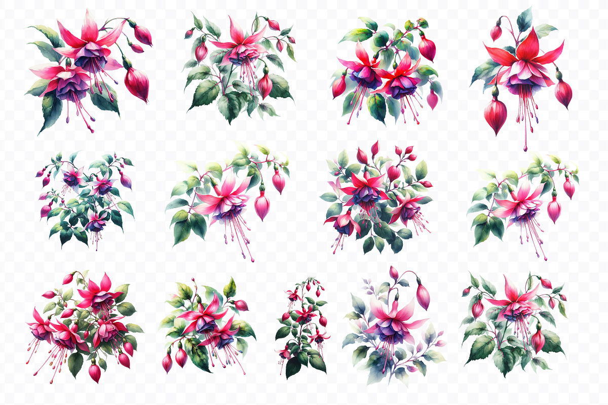Watercolor Fuchsia Flowers Clipart, a Work Illustration by Dream Creation (Photo 2 of 4)