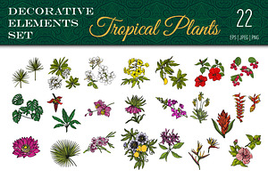 Tropical Plants Set