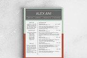 Alex Ani Modern 2-Page Resume, a Resume Template by Stand Out Shop (Thumbnail 1 of 4)