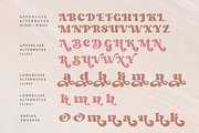 Dream to Berich Modern Bold Serif, a Serif Font by zeenesia (Thumbnail 17 of 19)