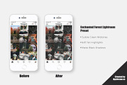 Enchanted Forest Lightroom Presets, a Plug-in Add-On by Applesaw.co (Thumbnail 4 of 4)