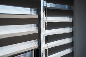 View of Zebra Window Blinds With
