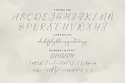 Dihatimu Adamelri Elegant Script, a Script Font by Storytype Studio (Thumbnail 12 of 14)