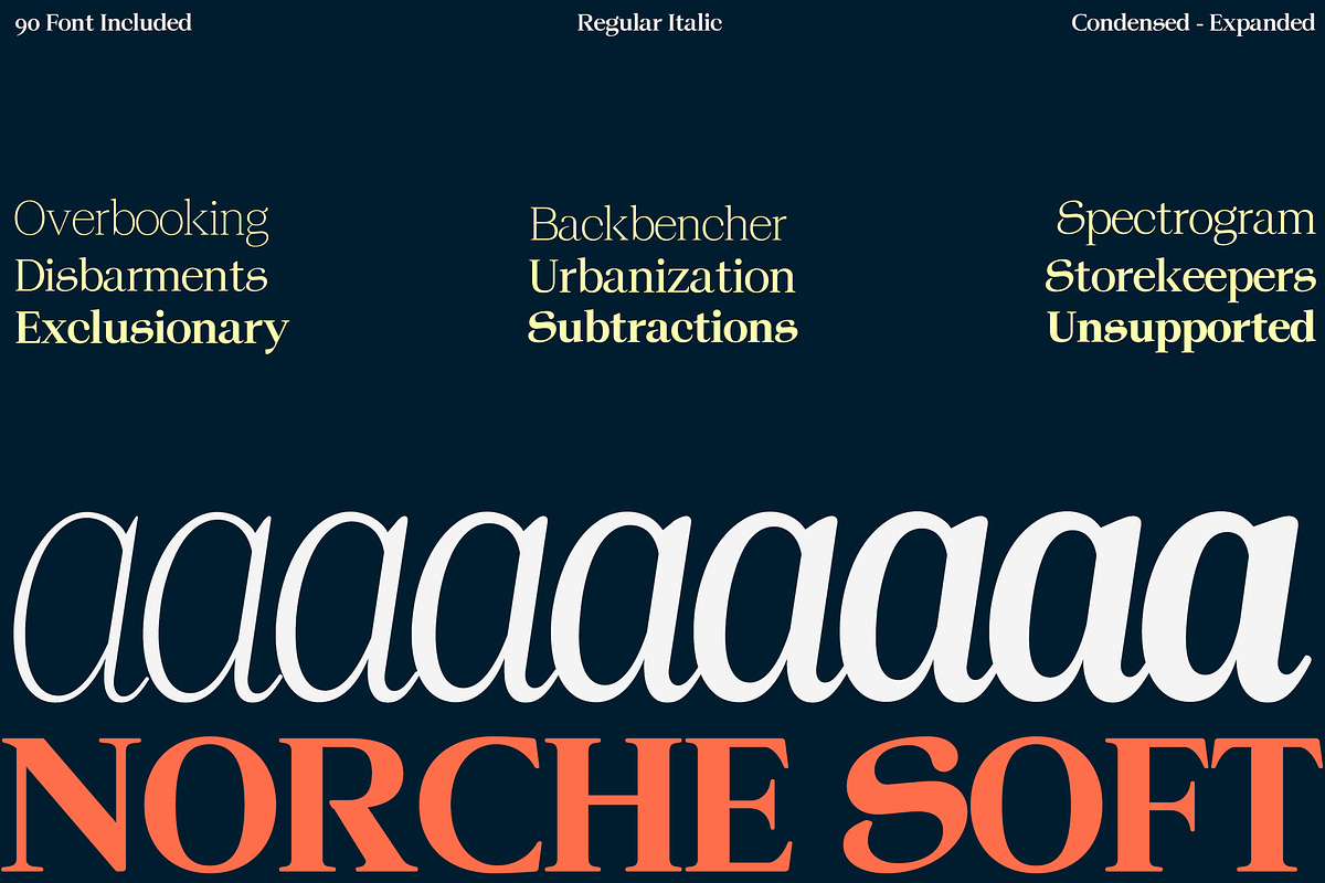 Norche - Serif Family, a Serif Font by Dora Typefoundry (Photo 2 of 10)