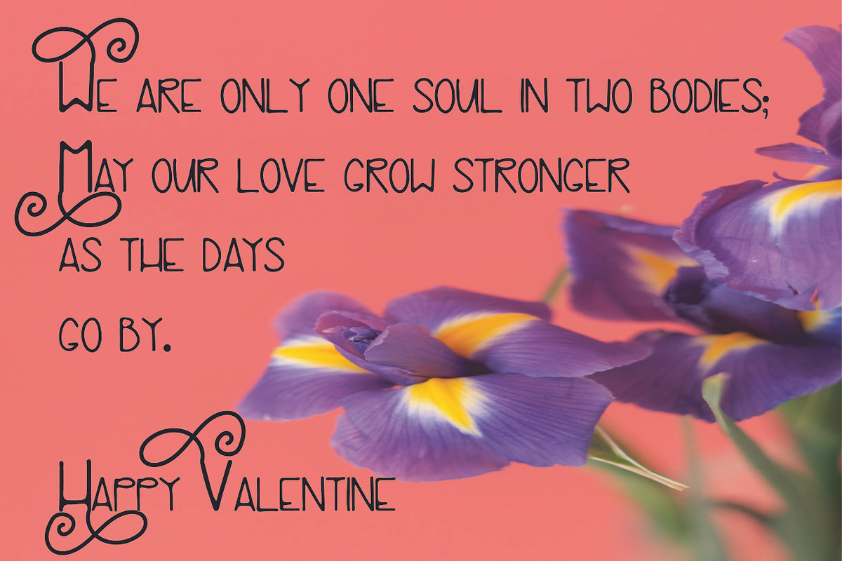 Villate Love, a Sans Serif Font by AleraStudio (Photo 2 of 5)