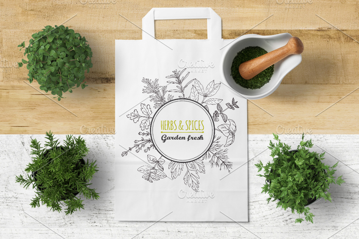 Herbs & Spices Big Bundle, a Food Illustration by Zhemchuzhina (Photo 5 of 9)