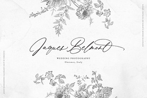 August Bloom Elegant Script Font