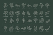 Floral Logo Bundle 50 Botanical Logo, a Branding & Logo Template by iStar Design (Thumbnail 17 of 26)