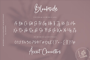 Blankside - Modern Script Font