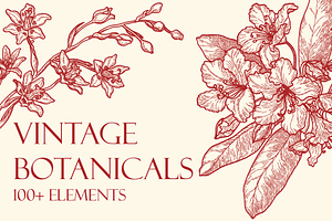 Engraved Botanicals, a Decorative Illustration by dariikos
