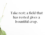 Adouliss Mag Serif 9 Font Family, a Serif Font by Creativetacos (Thumbnail 3 of 4)