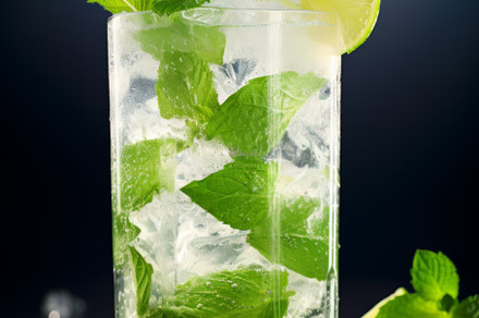 Mojito cocktail with lime and mint in highball glass, a Food & Drink Photo by Natalia Klenova's Shop