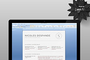 1 Page Resume, a Resume Template by paulresume (Thumbnail 3 of 4)