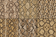 Realistic Python Skin Pattern, a Pattern Graphic by Artonix (Thumbnail 2 of 3)