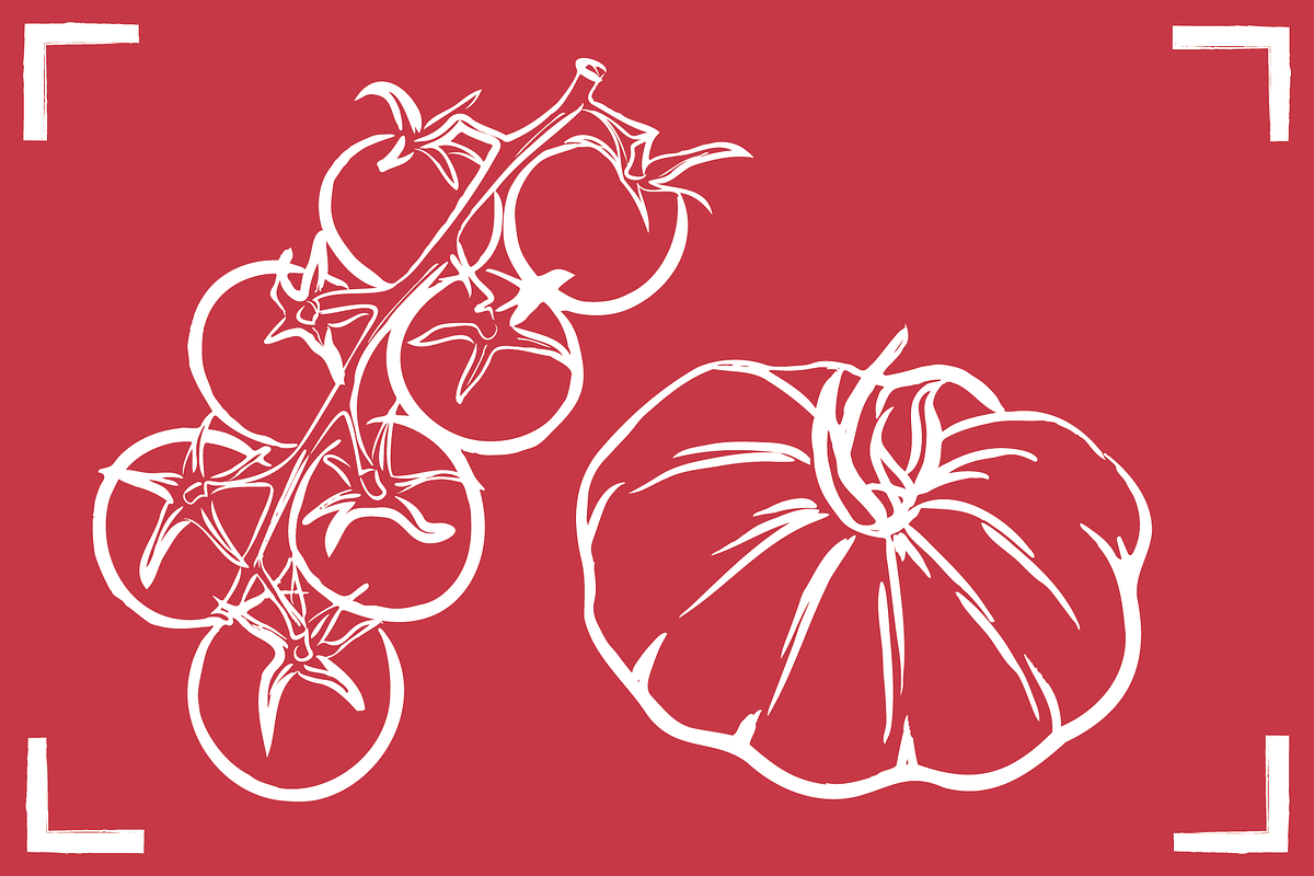 TOMATO LINE ART SET (24 elements), a Food Illustration by Bonfloret Studio (Photo 2 of 9)