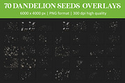 Dandelion Overlays, an Object Graphic by VligCreativeStudio (Thumbnail 5 of 6)