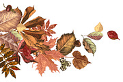 Fall in love - seasonal collection, an Object Illustration by handsketched (Thumbnail 5 of 10)