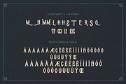 Whisholder Vintage Instagram, a Font by Creatype Studio (Thumbnail 12 of 16)