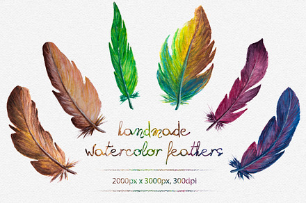 Watercolor Feathers