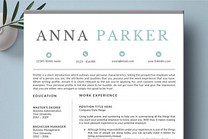 Resume Template CV 2 Page