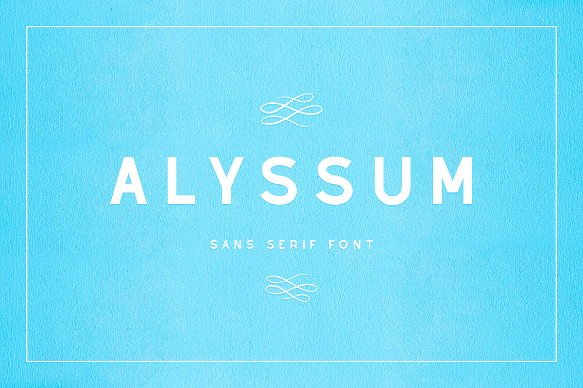 Alyssum - Sans Serif Font, a Sans Serif Font by CorgiAstronaut (Photo 1 of 6)