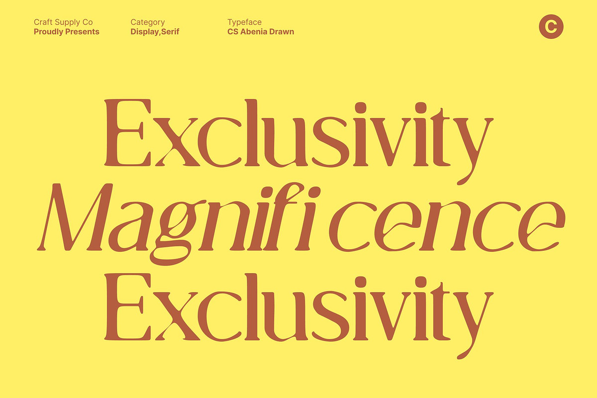 CS Abenia Drawn, a Serif Font by Craft Supply Co. (Photo 5 of 8)