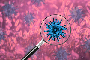 Magnifying glass over virus, a Health & Medical Photo by BOOCYS