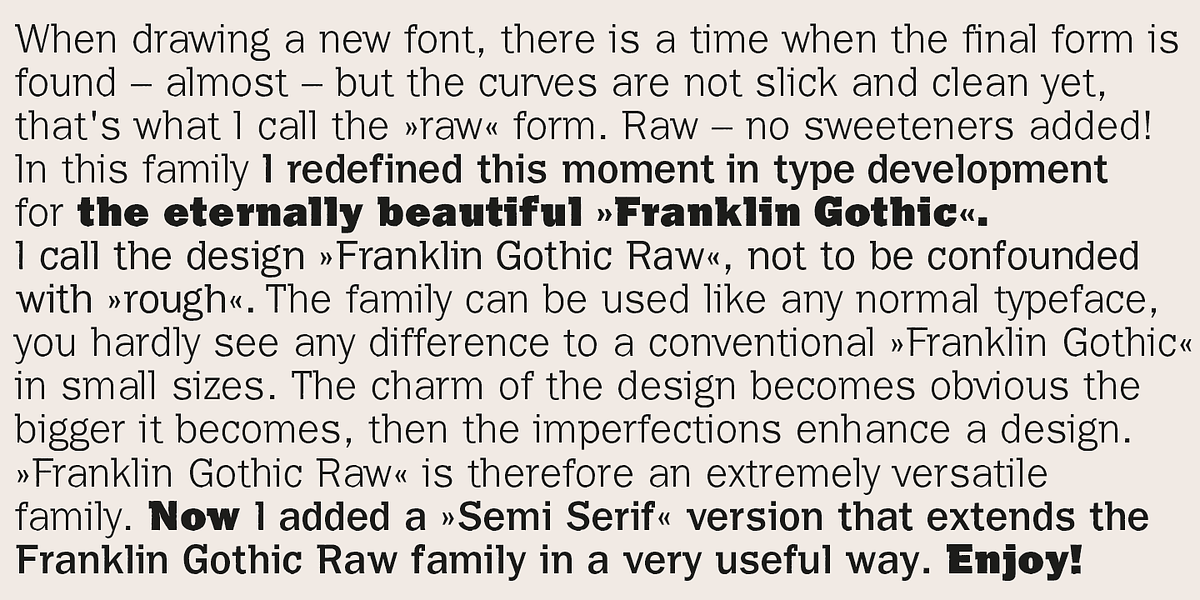 Franklin Gothic Raw Semi Serif, a Sans Serif Font by Wiescher-Design (Photo 3 of 6)