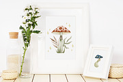 Watercolor mushrooms collection., a Decorative Illustration by Kira Konoshenko (Thumbnail 5 of 12)