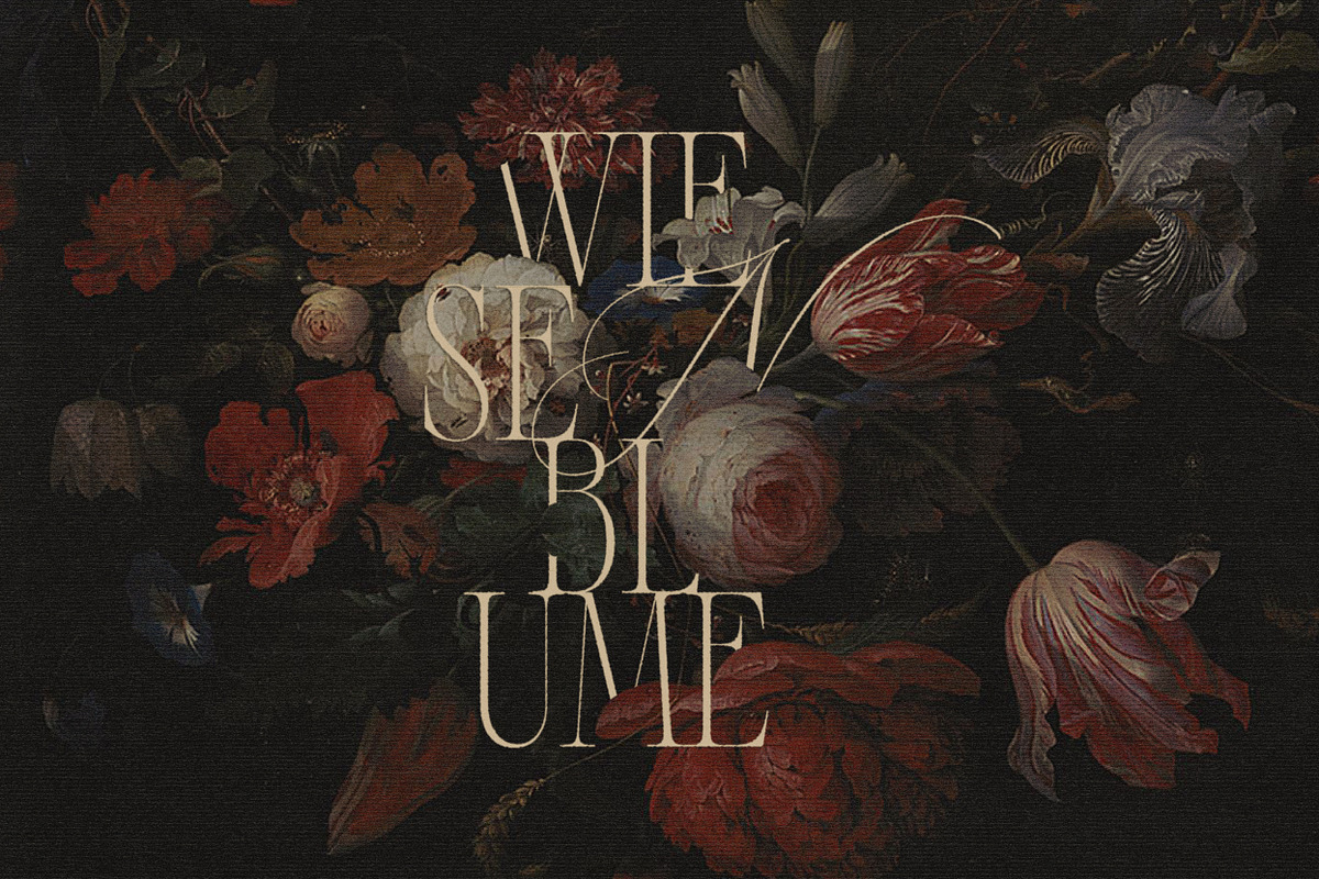 Alizee - Classy Hybrid Serif, a Serif Font by Harmonais Visual (Photo 5 of 29)