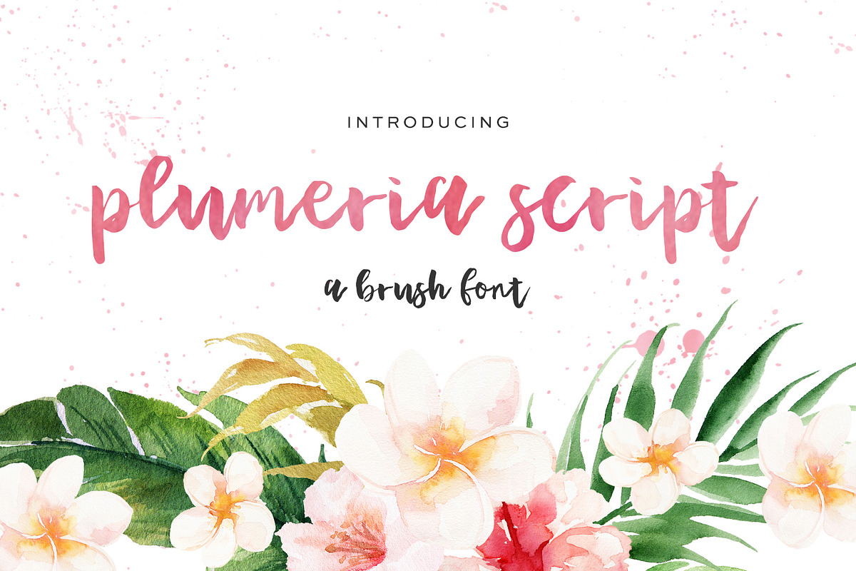 Plumeria Script, a Script Font by Beck McCormick (Photo 1 of 5)