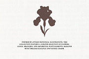 Vintage Botanical: 100 Illustrations, an Object Illustration by Veyla (Thumbnail 2 of 15)