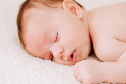 portrait of a newborn asleep in studio lighting, a Person Photo by rubenchase
