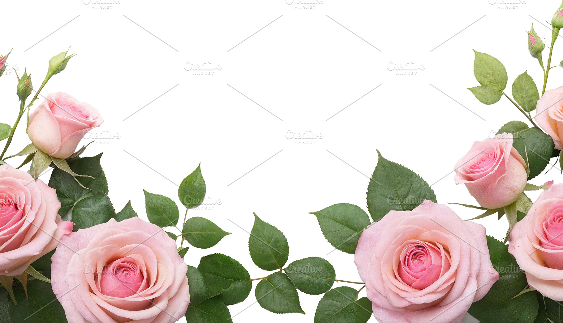 rose flowers transparent background, a Nature Photo by itakdalee